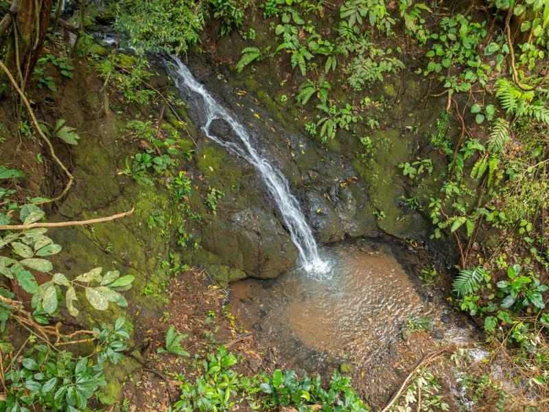 0 bed Lot/Land For Sale in Quepos,  - 1